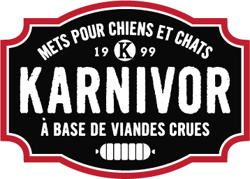 Karnivor